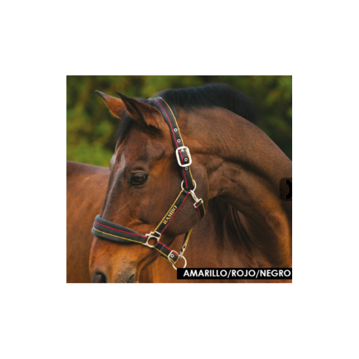 CABEZADA CUADRA RAMBO NYLON PADDED