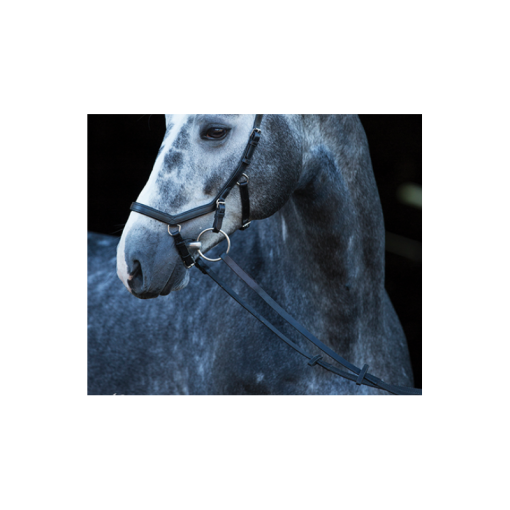 RIENDAS RAMBO MICKLEM COMPETITION BRIDLE