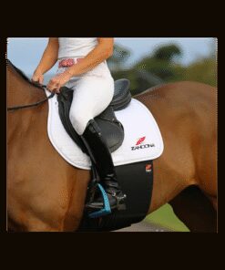 BANDA PROTECTORA ZANDONÀ SUPERIOR CHAFE GUARD EVO
