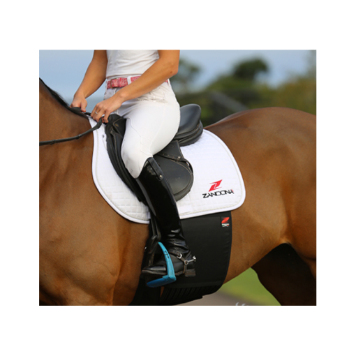 BANDA PROTECTORA ZANDONÀ SUPERIOR CHAFE GUARD EVO