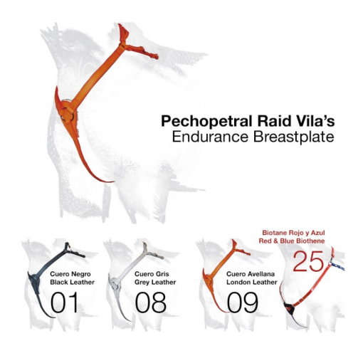 PECHOPETRAL RAID VILA´S