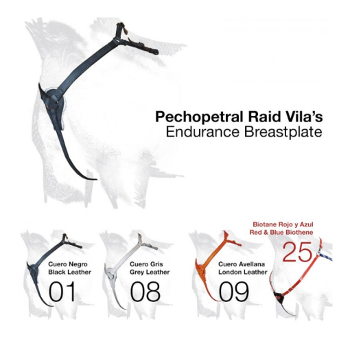 PECHOPETRAL RAID VILA´S