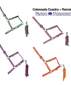 CABEZADA CUADRA + RAMAL TRICOLOR