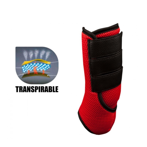 PROTECTOR CREOLE TRANSPIRABLE