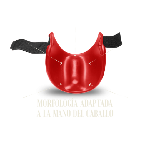 CAMPANA GATUSOS E.V.A