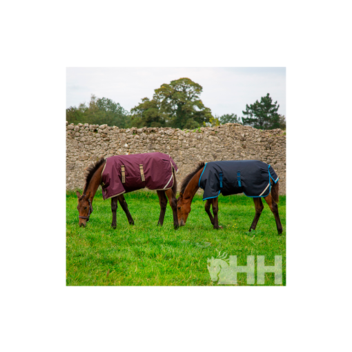 MANTA AMIGO FOAL POTRILLO EXTERIOR MEDIUM (200g)