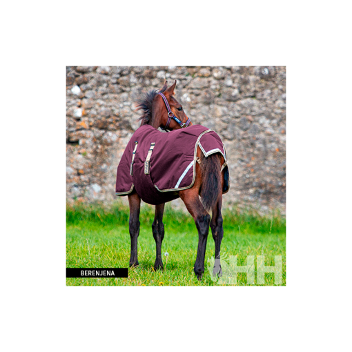 MANTA AMIGO FOAL POTRILLO EXTERIOR MEDIUM (200g)