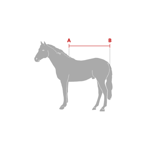 MANTA AMIGO FOAL POTRILLO EXTERIOR MEDIUM (200g)