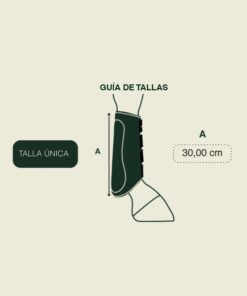 PROTECTORES GATUSOS TRASERO ROYAL