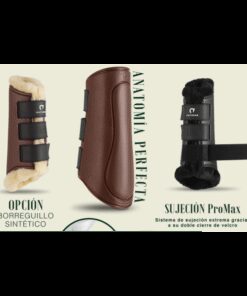 PROTECTORES GATUSOS TRASERO ROYAL