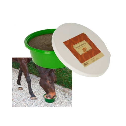 CARAMELO EN PASTA HORSE LICK BRONCHIAL 6 kg