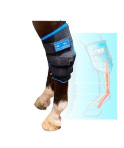 PROTECTOR GEL FRÍO PARA CORVEJÓN PAR