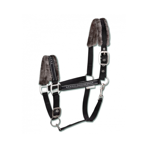 CABEZADA CUADRA WALDHAUSEN ELEGANT
