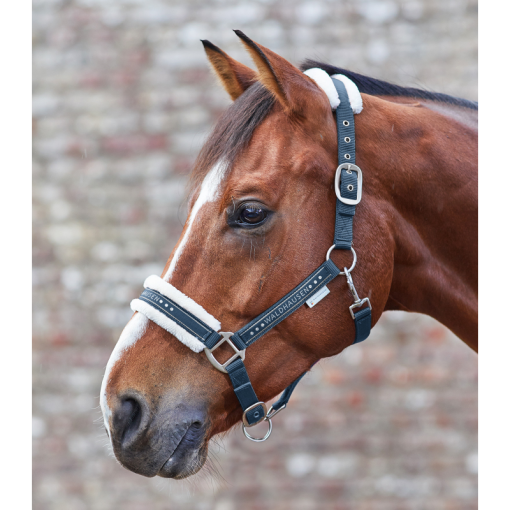 CABEZADA CUADRA WALDHAUSEN ELEGANT