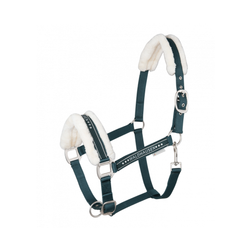 CABEZADA CUADRA WALDHAUSEN ELEGANT