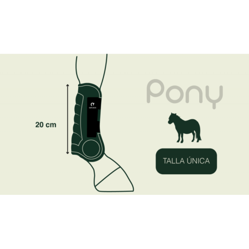 PROTECTOR DELANTERO PONY GATUSOS DELUXE E.V.A