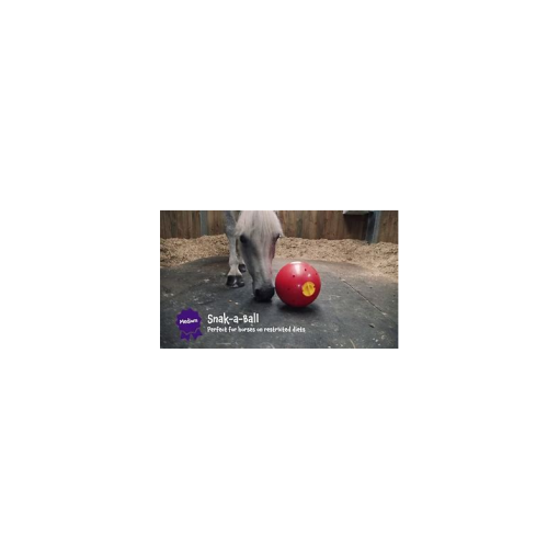 JUGUETE LIKIT SNAK A BALL