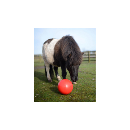 JUGUETE LIKIT SNAK A BALL
