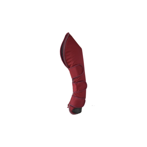 PROTECTOR LEXHIS TRANSPORTE (JUEGO 4)