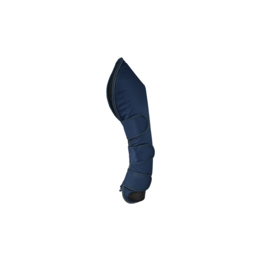 PROTECTOR LEXHIS TRANSPORTE (JUEGO 4)