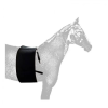 FAJA DE RESPETO PROTECTORA ESPUELA CABALLO