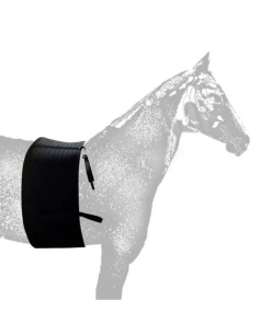 FAJA DE RESPETO PROTECTORA ESPUELA CABALLO