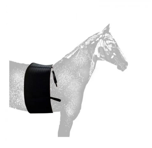 FAJA DE RESPETO PROTECTORA ESPUELA CABALLO