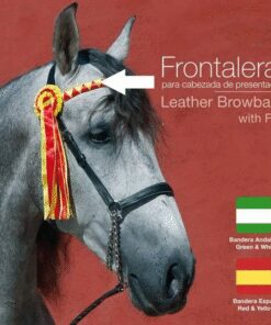 FRONTALERA PARA CABEZADA PRESENTACIÓN