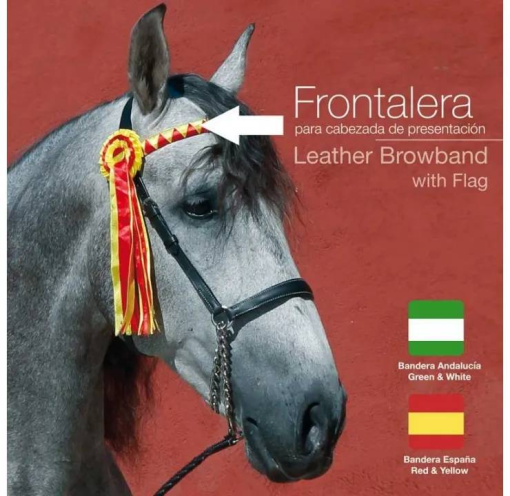 FRONTALERA PARA CABEZADA PRESENTACIÓN