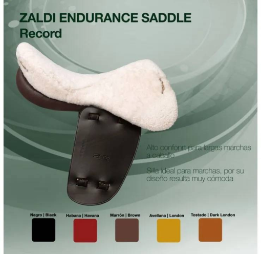 Silla Zaldi Marcha Record