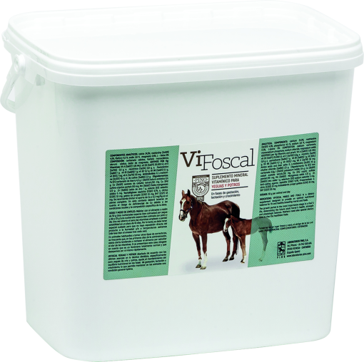 VIFOSCAL YEGUAS Y POTROS