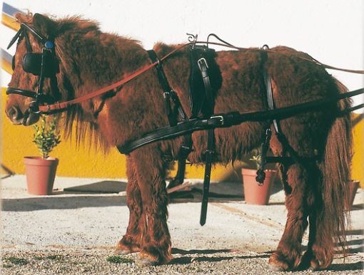 Enganche Pvc/nylon Sencillo Mini-Shetland