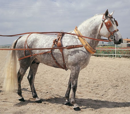 Enganche Inglesa Sencillo Collarin