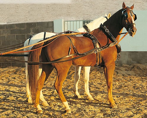 Enganche Inglesa Doble Collarin