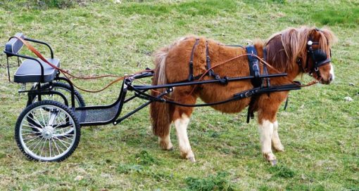 Enganche Hungara Tronco Pony Gomez