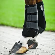 Protector Horze PRO SOFT