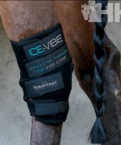 PROTECTOR CORVEJON ICE-VIBE HORSEWARE (SET COMPLETO)