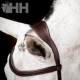 CABEZADA INGLESA HORSEWARE MICKLEM 2 COMPETITION BRIDLE (SIN RIENDAS)