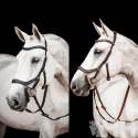 CABEZADA RAMBO MICKLEM COMPETITION BRIDLE (SIN RIENDAS)