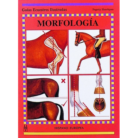 Libro: Guia Morfologia