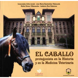 Libro: El Caballo, Protagonista De La Historia