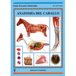 Libro: Guia. Anatomia Del Caballo