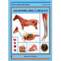 Libro: Guia. Anatomia Del Caballo