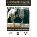 Dvd: Equitacion Rectitud, Asiento Y Posicion