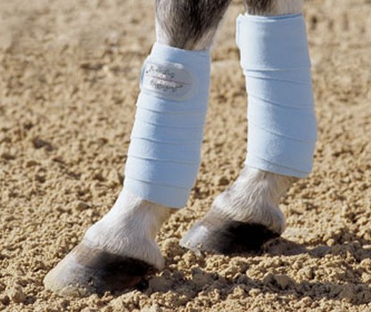 Venda Esk. Polar-Pony