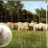 MALLA PARA OVEJAS 50M X 90CM ALTO