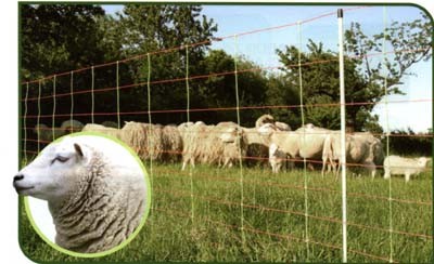 MALLA PARA OVEJAS 50M X 90CM ALTO