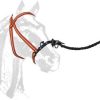 RAMAL CUERO TRENZADO CASTECUS 2.5m