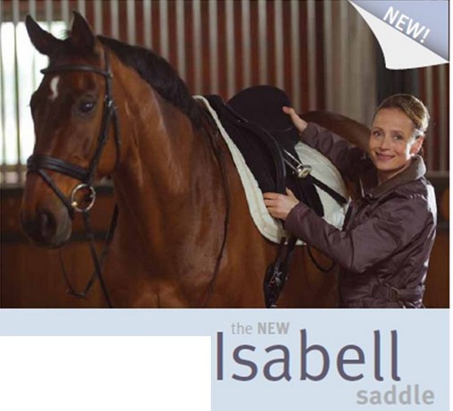 SILLA DOMA WINTEC ISABELL NEW - Imagen 2