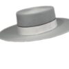 SOMBRERO ALA ANCHA PLATA LANA